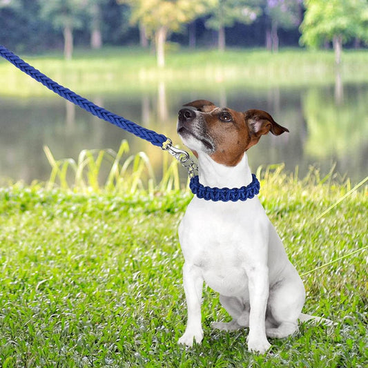 8-Strand Nylon Strong Traction Rope Dog Collar Leash