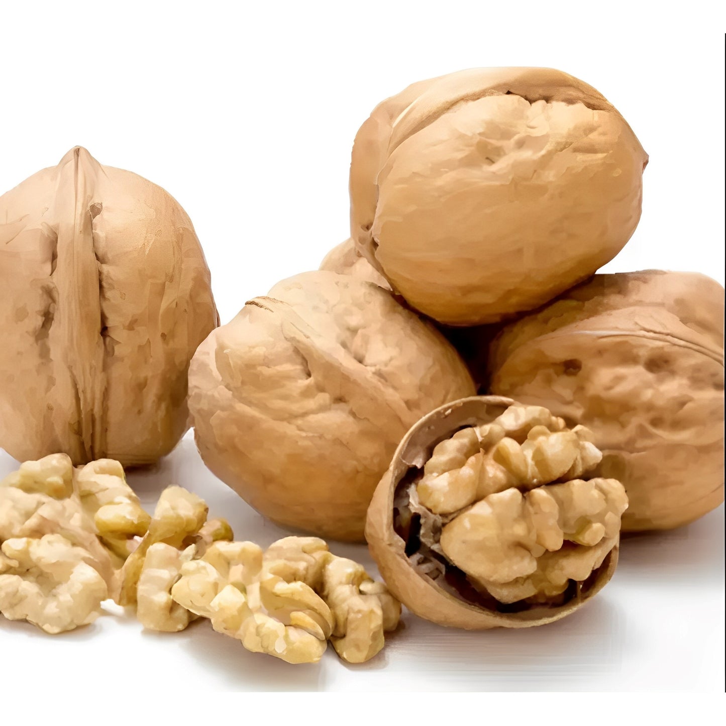 Walnuts With Shell (Kagazi Akharot) High In Protein, Vitamins, Omega 3 (500g)