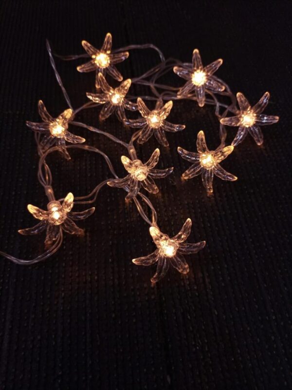 Blossom Flowers Fairy Light ( 10 Flowers In String 5ft Length )